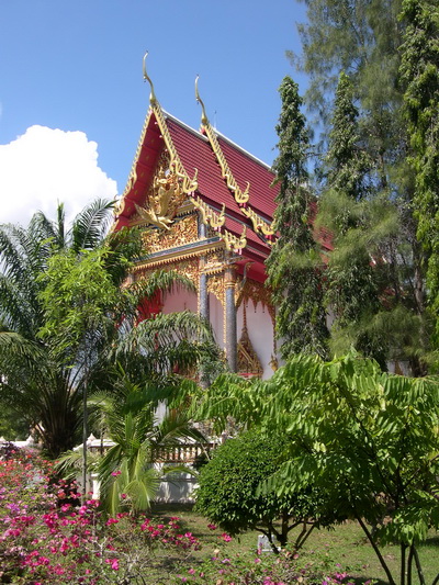  �Ѵ����ع�� (�Ѵ��ҹ�͹)