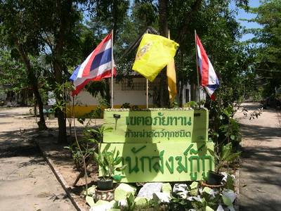  �ӹѡʧ�����