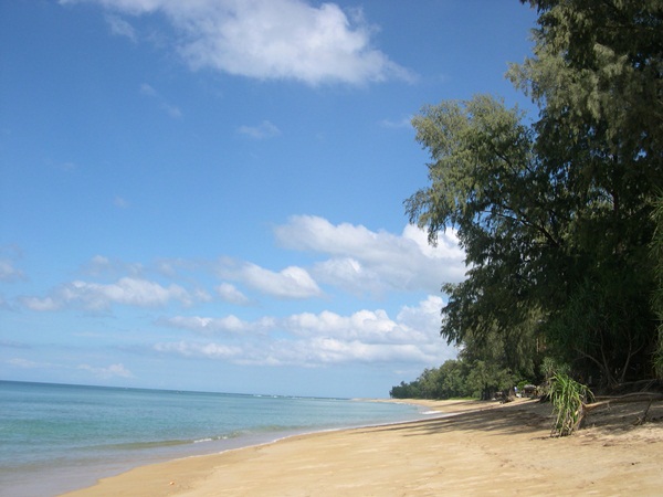 �Ѩ��·���ռŵ�;ĵԡ�����÷�ͧ������ԧ����Ȣͧ�ѡ��ͧ�����㹨ѧ��Ѵ����  Factors influencing on Tourist�s Ecotourism Behavior in Phuket Province